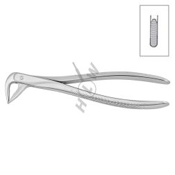 Екстракционна клеща - Долни корени 11-74